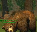 A Mysticwood defender