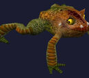 A muck toad