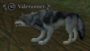 Valer