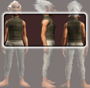 Wanderer's Tunic (Equipped)