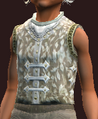 Arcane Sage's Vest (Equipped).png