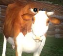 Cow (Antonica)