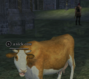 A sick cow