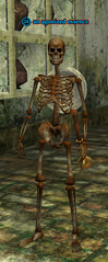 Thumbnail for version as of 14:54, January 26, 2009