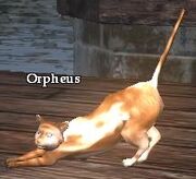Orpheus
