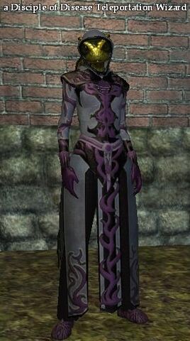 File:A Disciple of Disease Teleportation Wizard.jpg