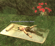 An injured Baubbleshire citizen