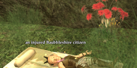 An injured Baubbleshire citizen