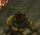 A Mazkeen raider