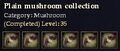 CQ mushroom plain Journal.jpg