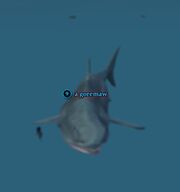 A goremaw