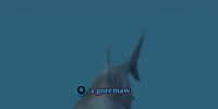 A goremaw