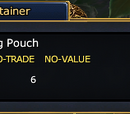 Traveling Pouch