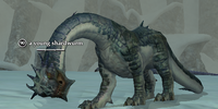 A young shardwurm