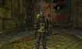 Crushbone legionnaire.jpg