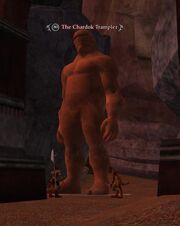 The Chardok Trampler