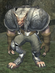A wounded werewolf