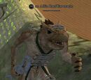 An Alliz Raef Ew oracle