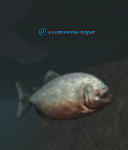 A carnivorous ripper