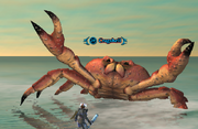 Cragshell