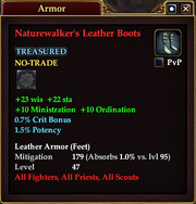 Naturewalker's Leather Boots