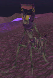 Vornerus screamer