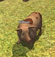 Wilbury