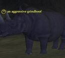 An aggressive grindhoof