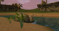 An exotic plant.jpg