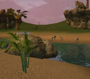 Scouring the Sands