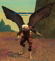 A Blacktalon trainee.png