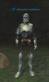 A Briarstone watchman.png
