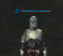 A Briarstone watchman