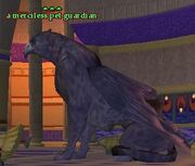 A merciless pet guardian