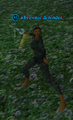 A brownie defender (solo).png