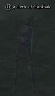 A cleric of Gunthak