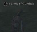 A cleric of Gunthak