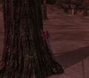 Clear Cut