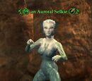 An Auroral Selkie