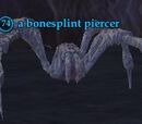 A bonesplint piercer