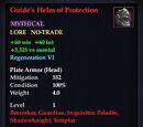 Guide's Helm of Protection