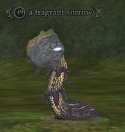 A fragrant sorrow