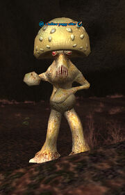 A hollow poggy sifter