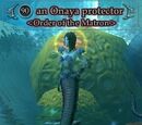 An Onaya protector