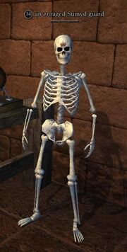 An enraged Sumyd guard