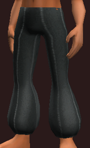 Occultist's Leggings of the Citadel (Equipped)