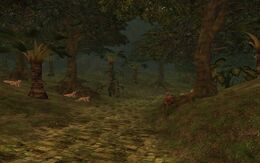 The Jungle of Alliz Evol