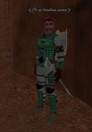 An Ortallian sentry