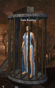 Nala Bunting