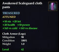 Awakened Scaleguard cloth pants.jpg